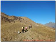 DSCN4820.jpg