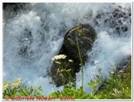 DSCN9693.jpg
