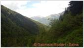 DSCN4786.jpg