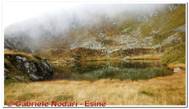 DSCN2278_small.jpg