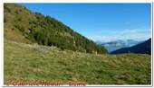 DSCN2257.jpg