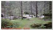 DSCN2319.jpg