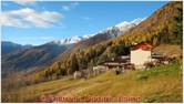 DSCN9027.jpg