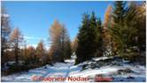DSCN9055.jpg