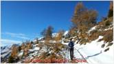 DSCN9056.jpg