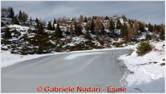 DSCN9152.jpg