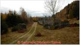 DSCN9162.jpg
