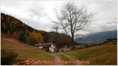 DSCN9170.jpg