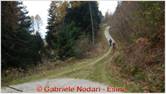 DSCN9180.jpg
