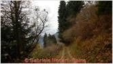 DSCN9183.jpg