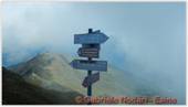 DSCN9174.jpg