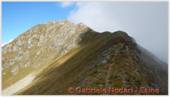DSCN9178.jpg