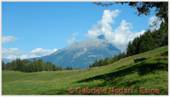 DSCN9294.jpg