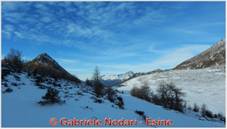 DSCN9437.jpg