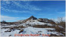 DSCN9443.jpg