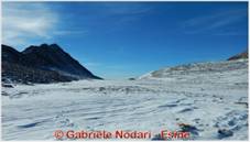 DSCN9528.jpg