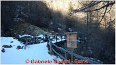 DSCN9537.jpg
