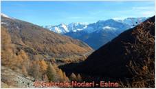DSCN9539.jpg