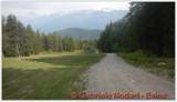 DSCN7848.jpg