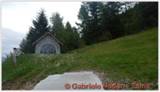 DSCN7972.jpg
