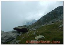 DSCN2571.jpg