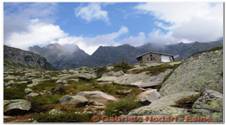 DSCN7459.jpg