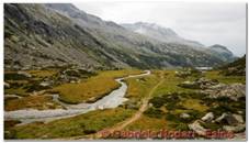 DSCN2559.jpg
