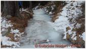 DSCN3726.jpg