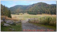 DSCN5089.jpg