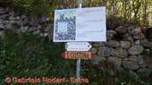 DSCN9259.jpg
