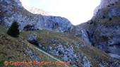 DSCN9267.jpg