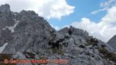 DSCN9309.jpg