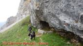 DSCN9376.jpg