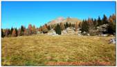 DSCN5329.jpg