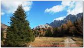 DSCN5334.jpg