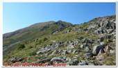 DSCN7781.jpg