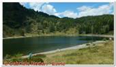 DSCN7818.jpg