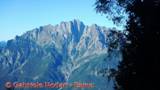 DSCN8760.jpg
