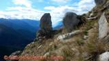DSCN8908.jpg