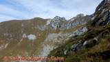 DSCN8918.jpg