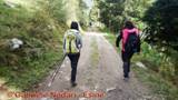 DSCN8967.jpg