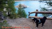 DSCN0626.jpg