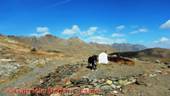 DSCN0703.jpg