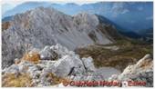DSCN2670.jpg