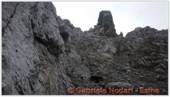 DSCN2678.jpg