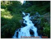 DSCN0718.jpg