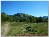 DSCN0746.jpg