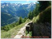 DSCN0867.jpg