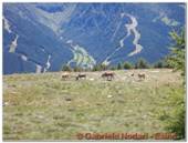 DSCN0870.jpg