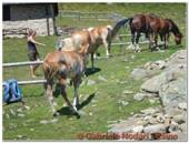 DSCN0875.jpg
